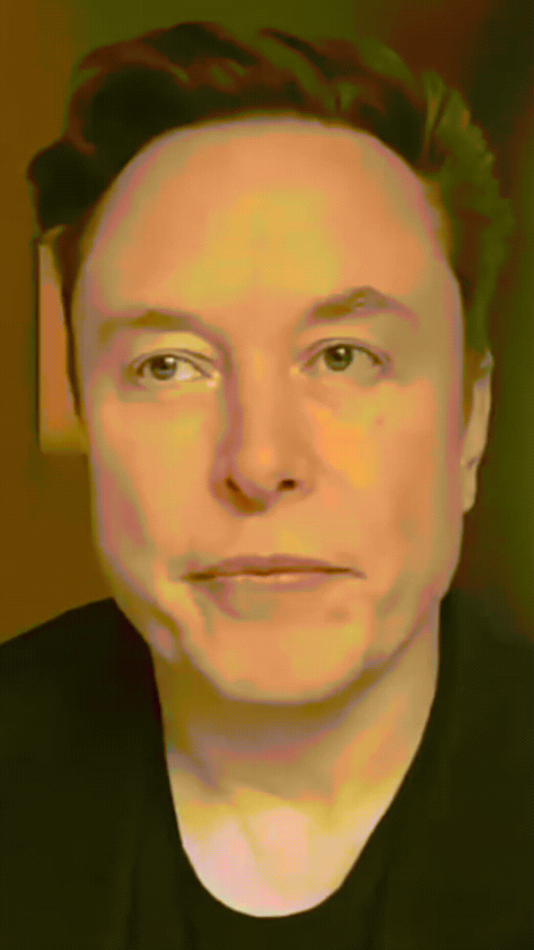 Avatar Elon - Vídeo Base